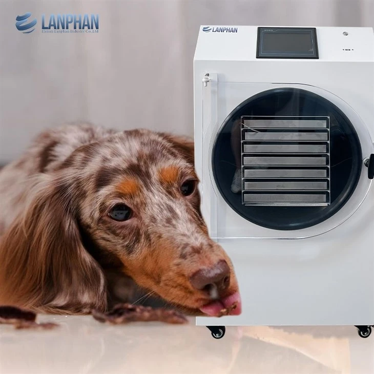 Freeze Drying Equipment For Home Use best