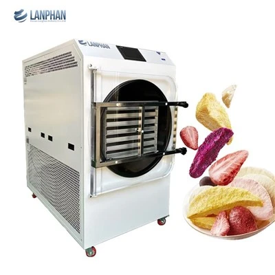 Can I freeze - dry pasta in a home food freeze dryer?